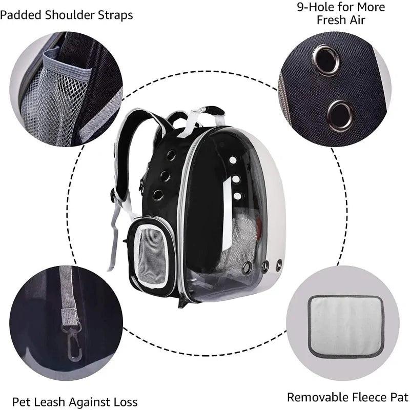 Rapid Retail Online