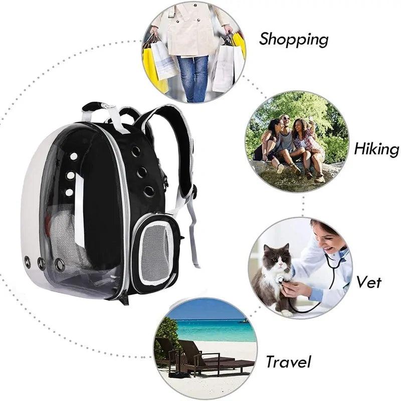Rapid Retail Online